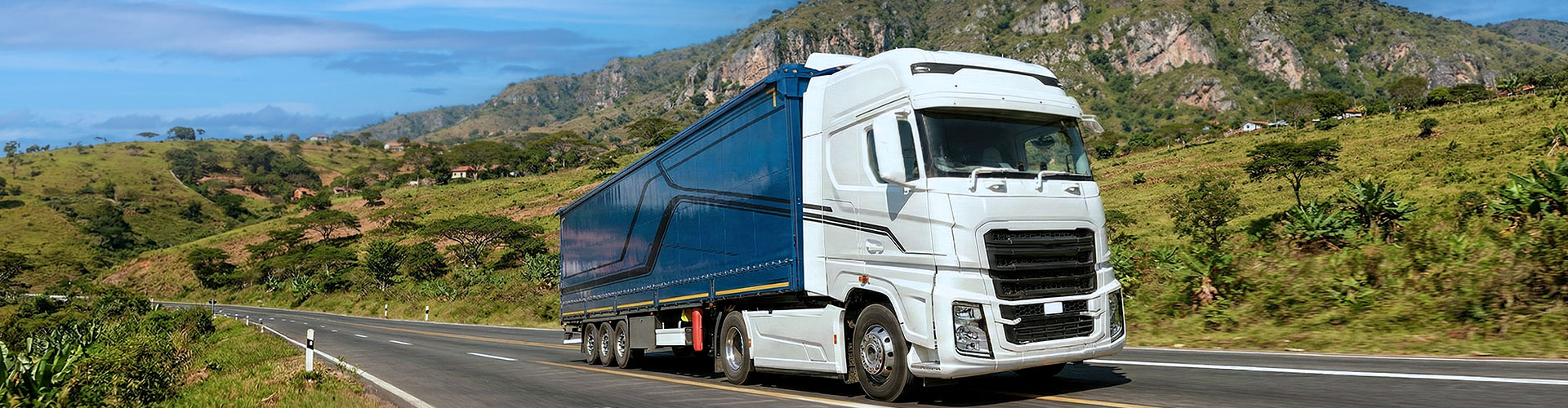 GEOLOCALISATION DE POIDS-LOURD